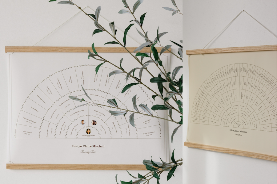 Fan Posters Are Here! A Beautiful New Way to Display Your Family Tree